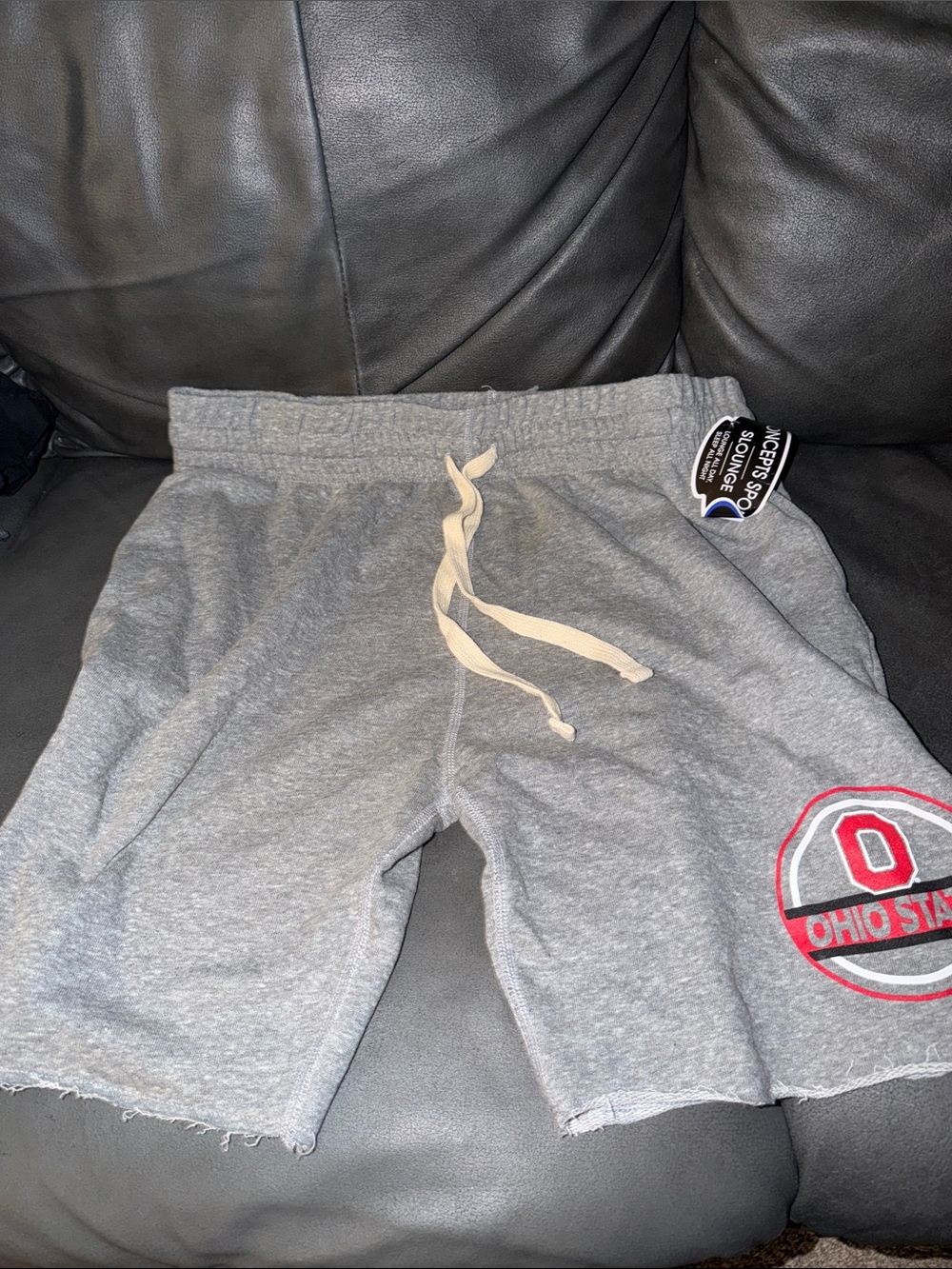 Ohio State Gray Men’s Hybrid Athletic Shorts